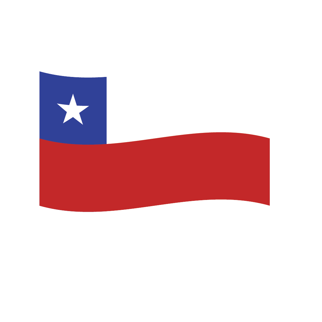 Flag1 Illustrator-04