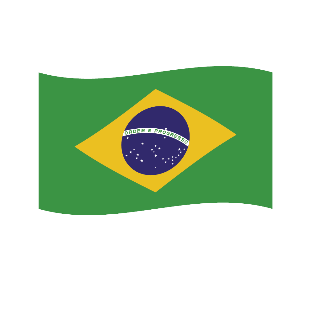Flag1 Illustrator-05
