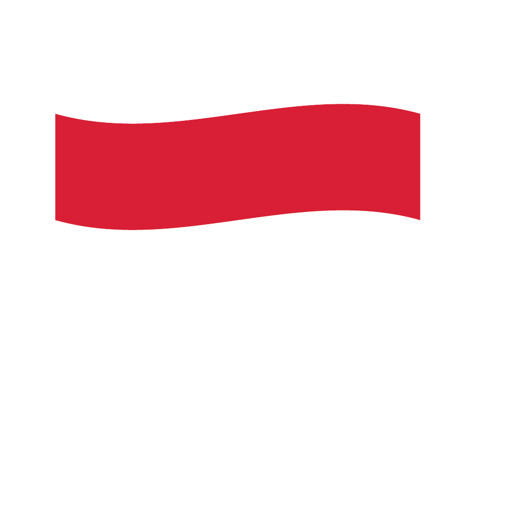 Flag1 Illustrator-44
