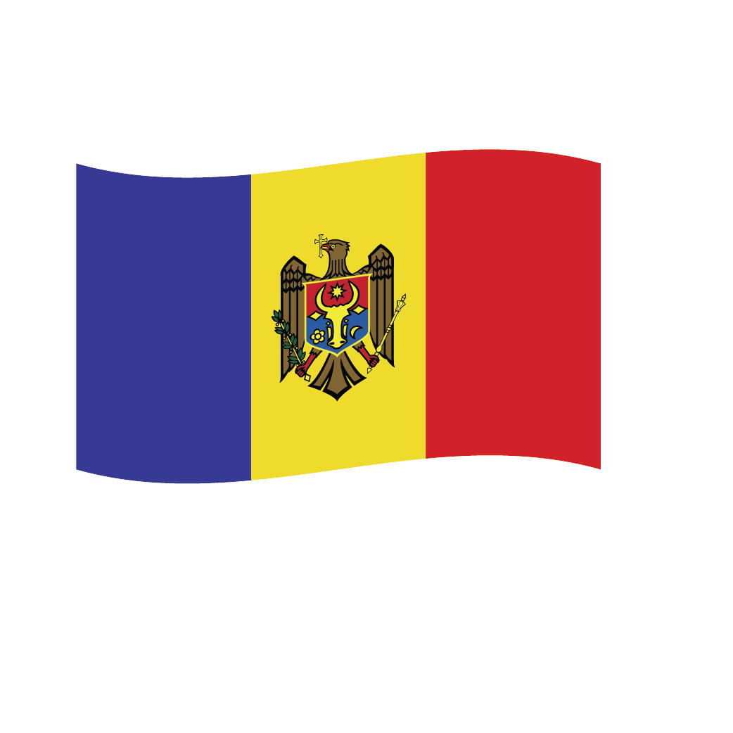 Flag1 Illustrator-45