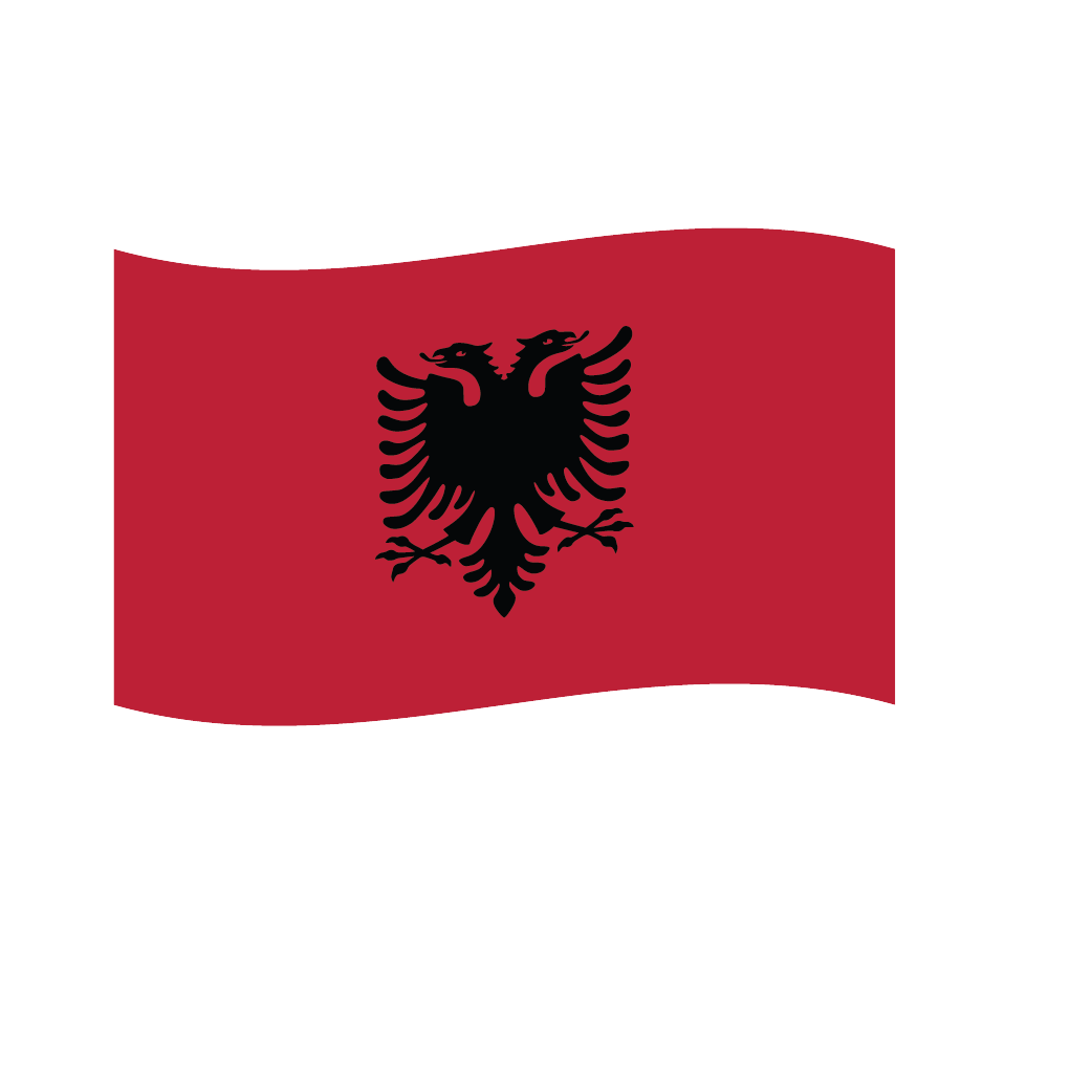 Flag1 Illustrator-65