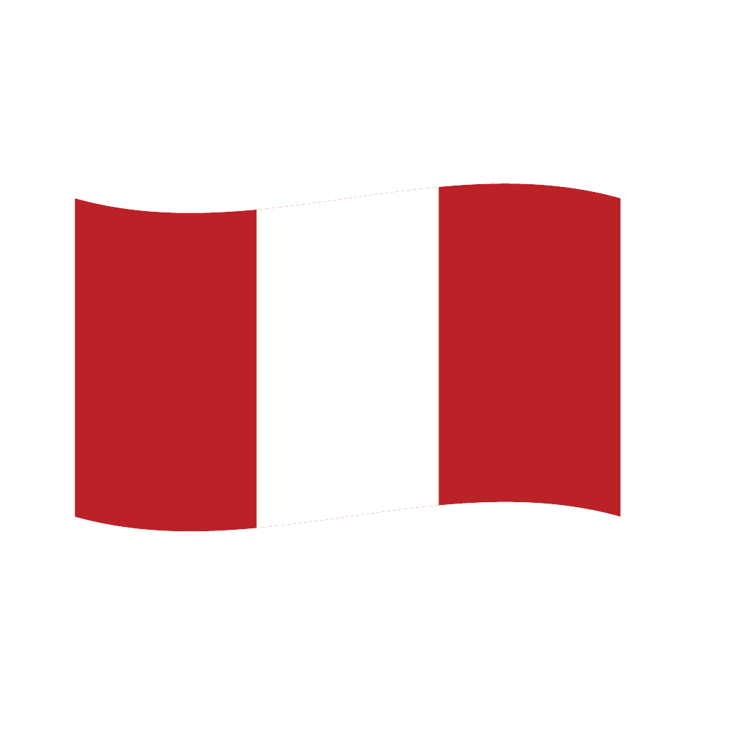 Flag2 Illustrator-02