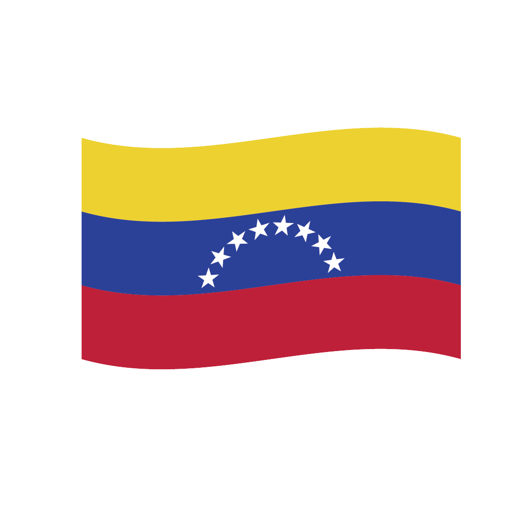 Flag2 Illustrator-04
