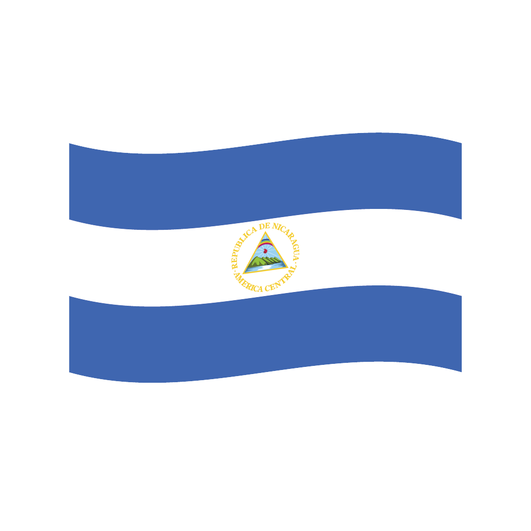 Flag2 Illustrator-13