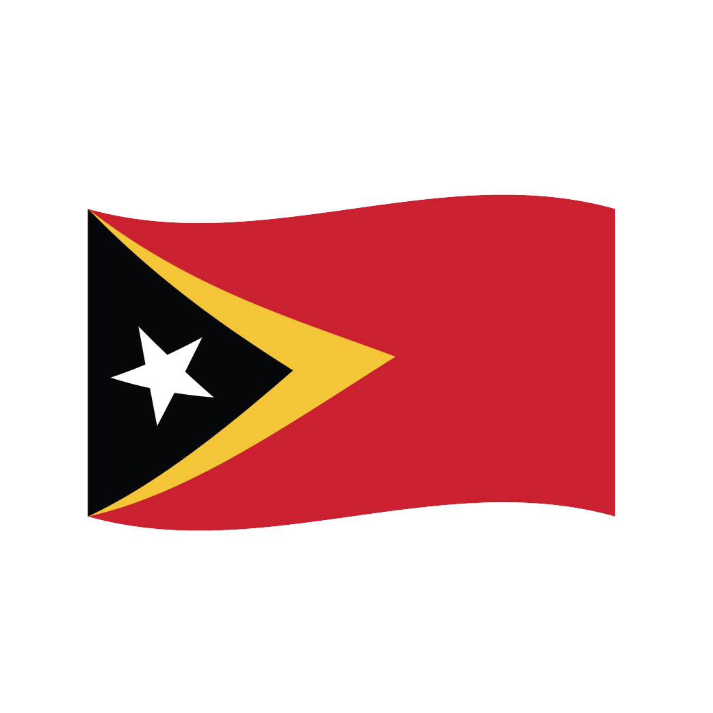 Flag2 Illustrator-45