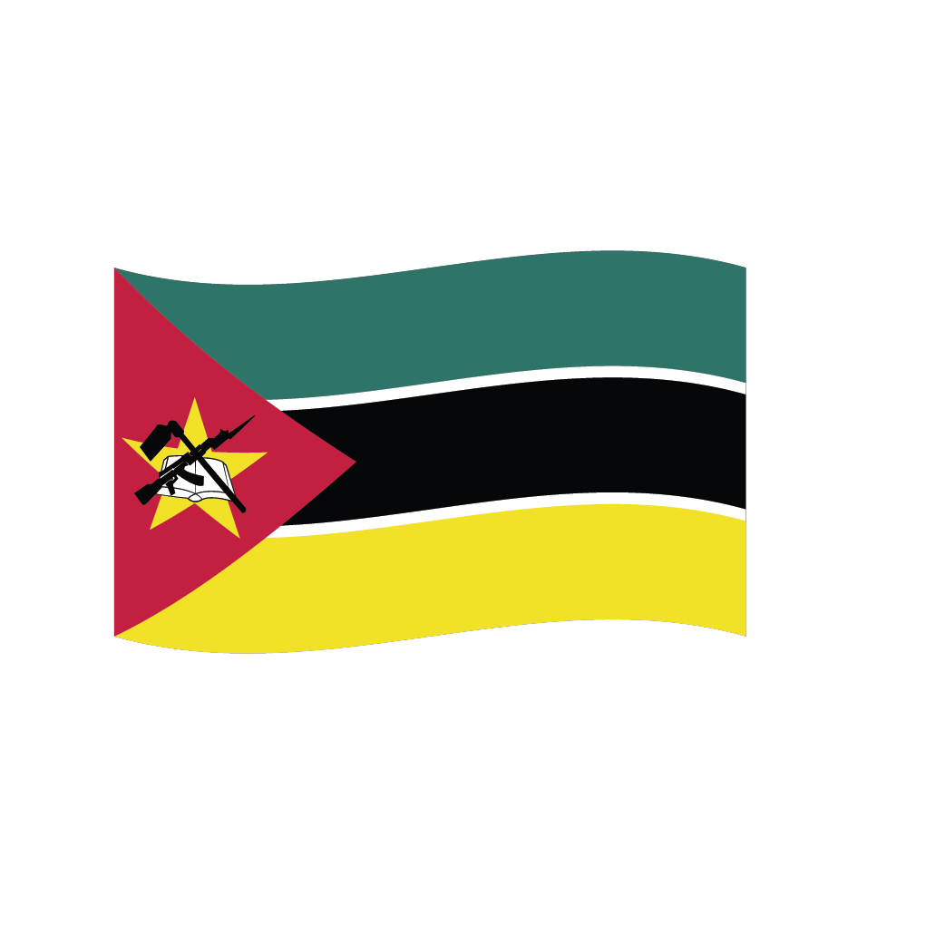 Flag2 Illustrator-51
