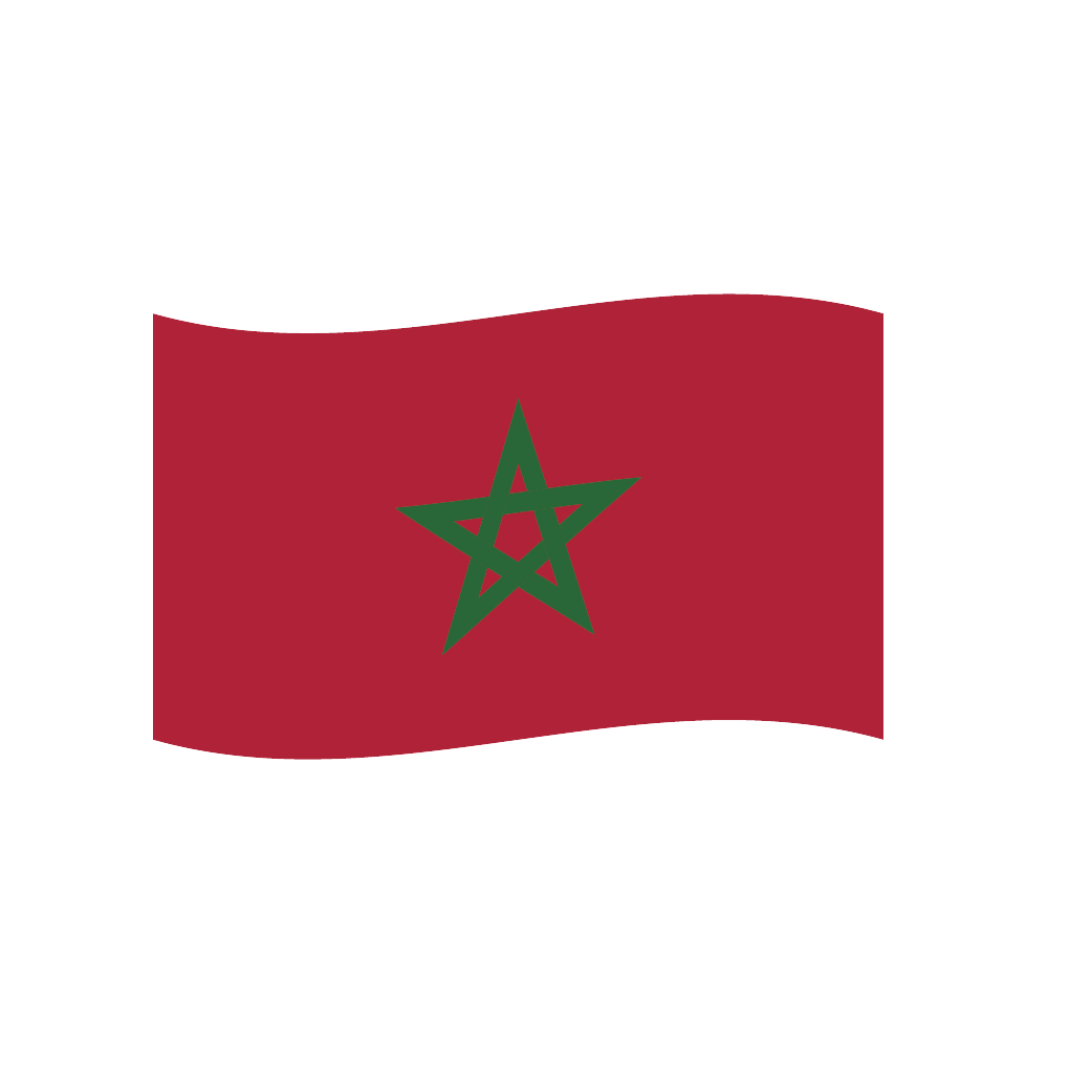 Flag2 Illustrator-52