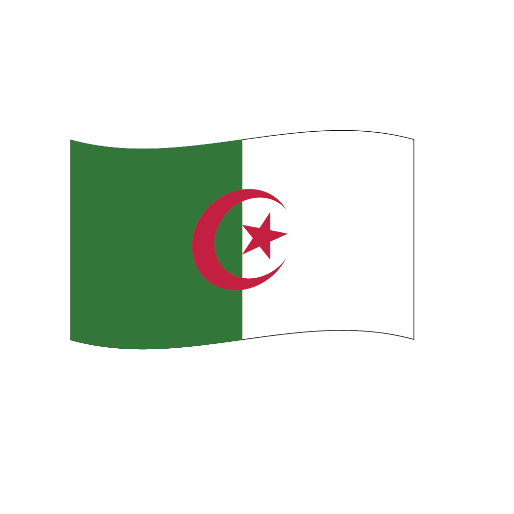 Flag2 Illustrator-57
