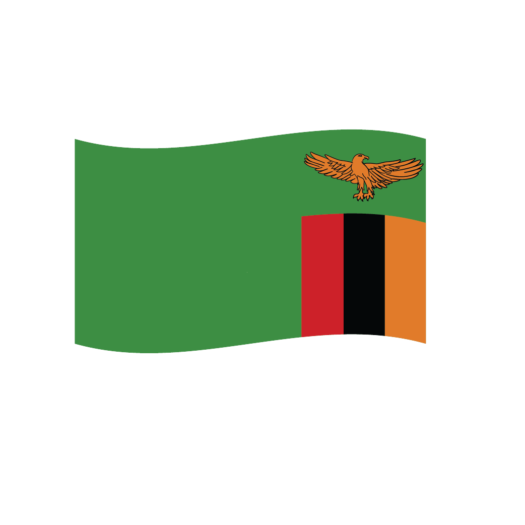 Flag2 Illustrator-59