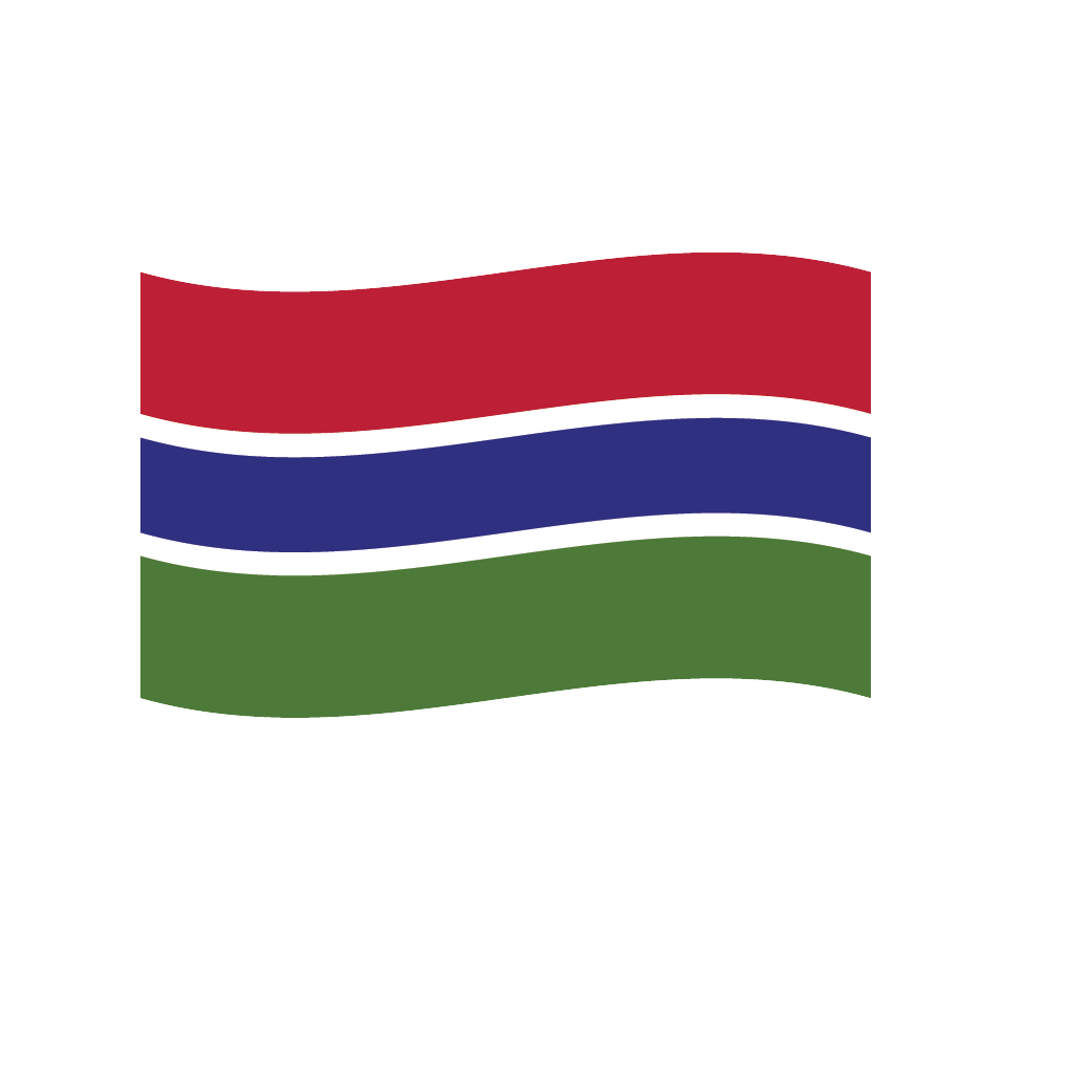Flag2 Illustrator-81