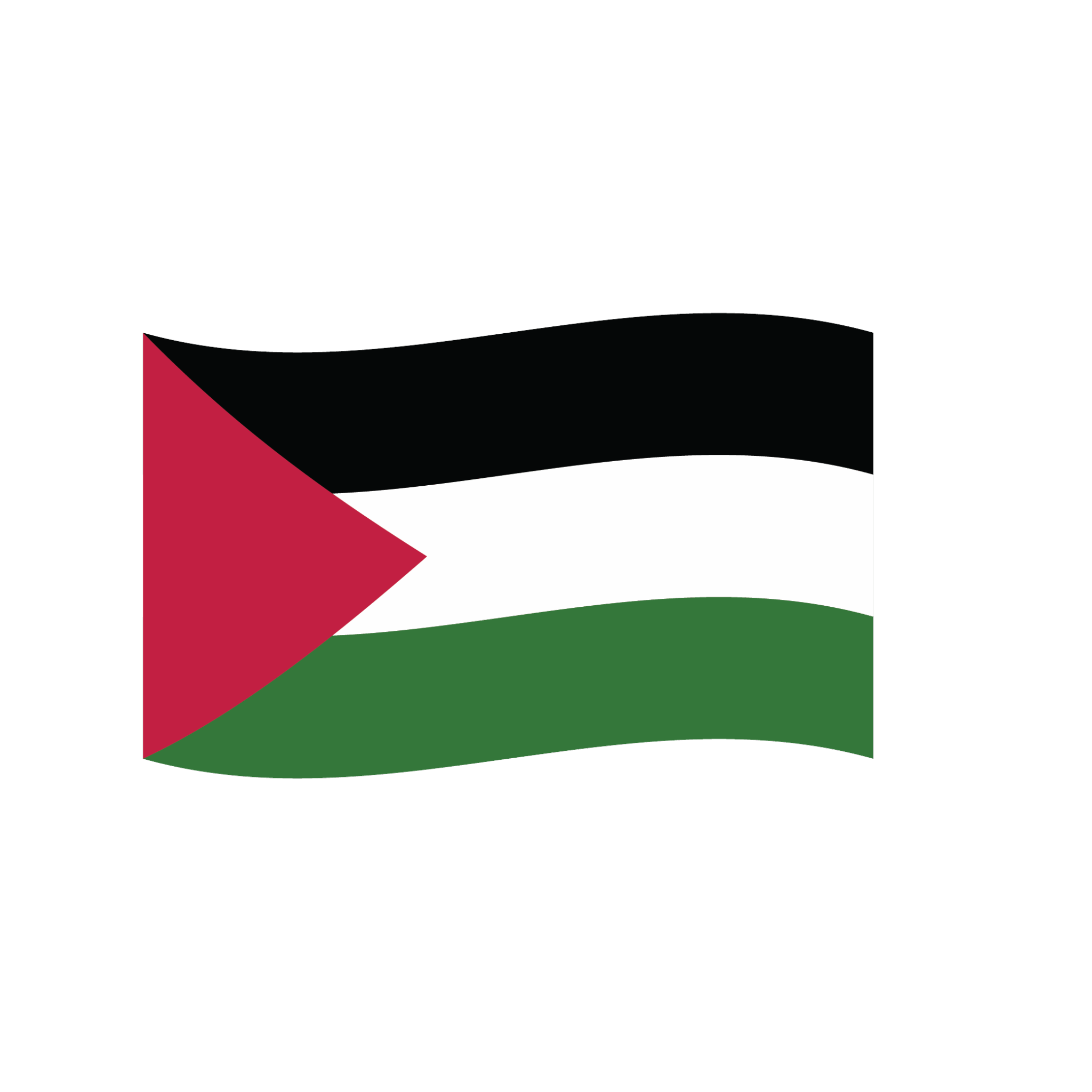 Flag2 Illustrator cs5-19