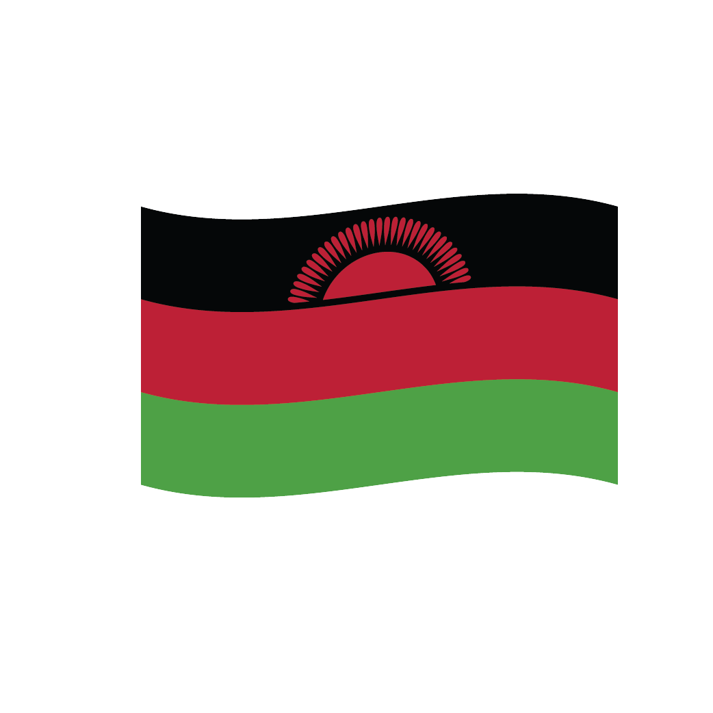 Flag2 Illustrator-72