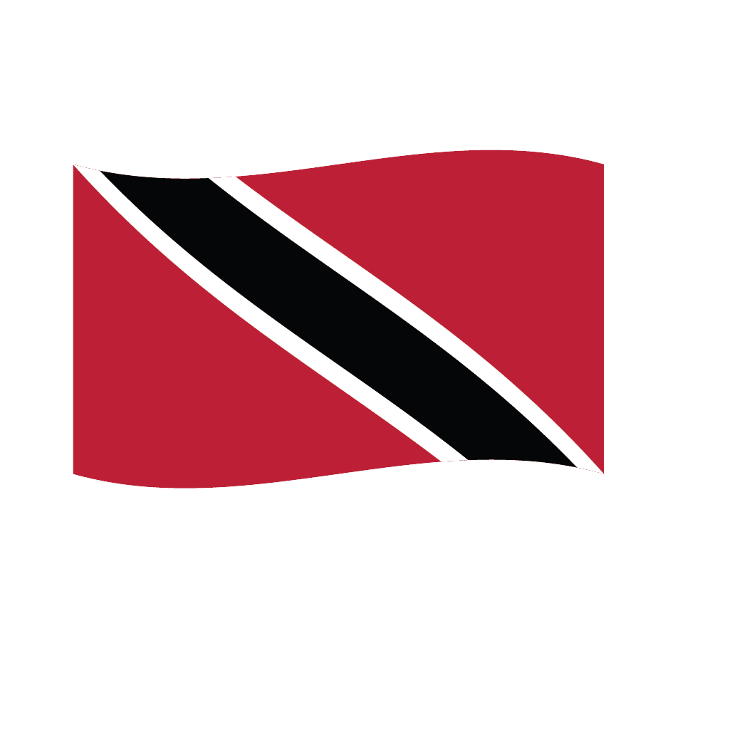 Flag1 Illustrator-19